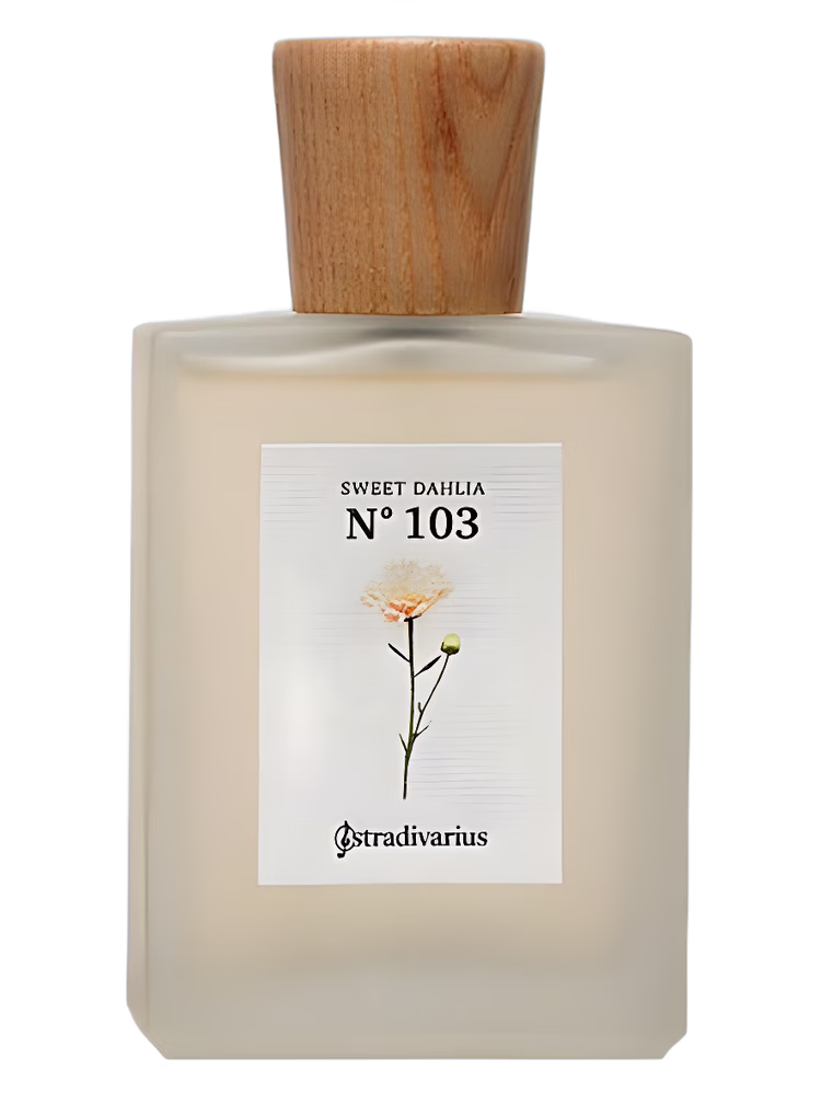 Stradivarius N° 103 Sweet Dahlia