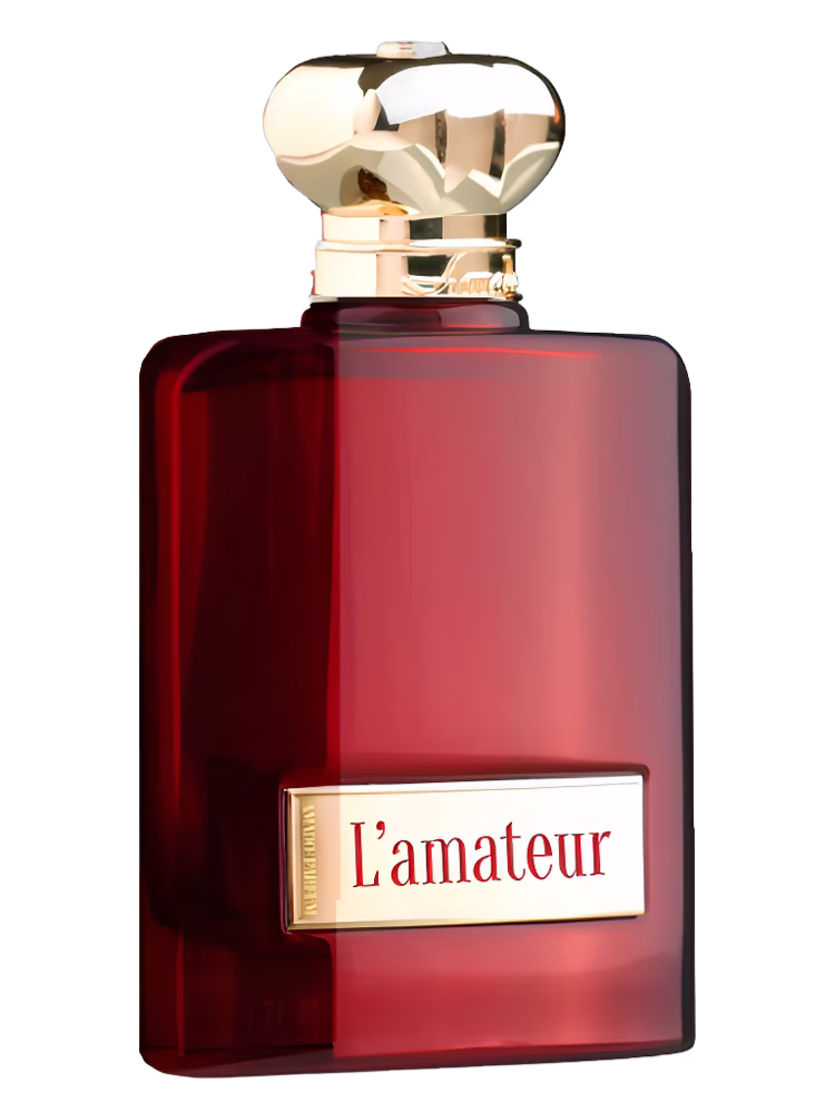 Amado L'amateur