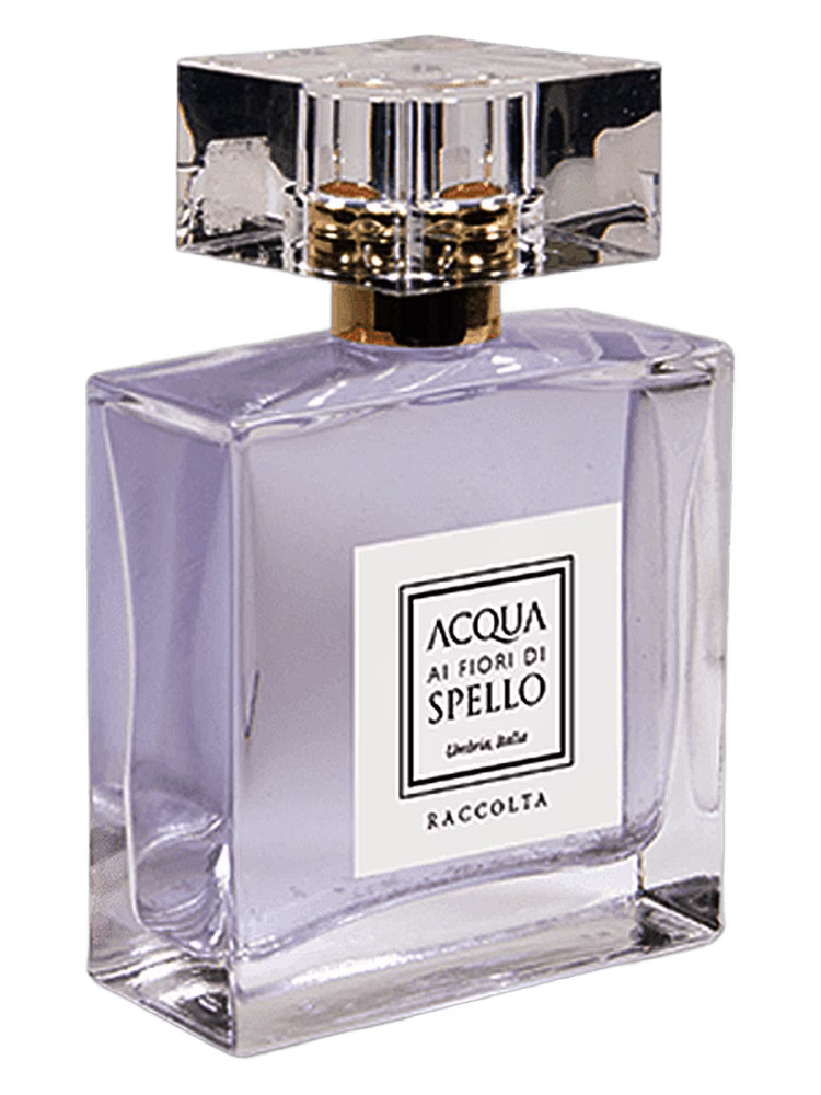 Acqua ai Fiori di Spello Raccolta