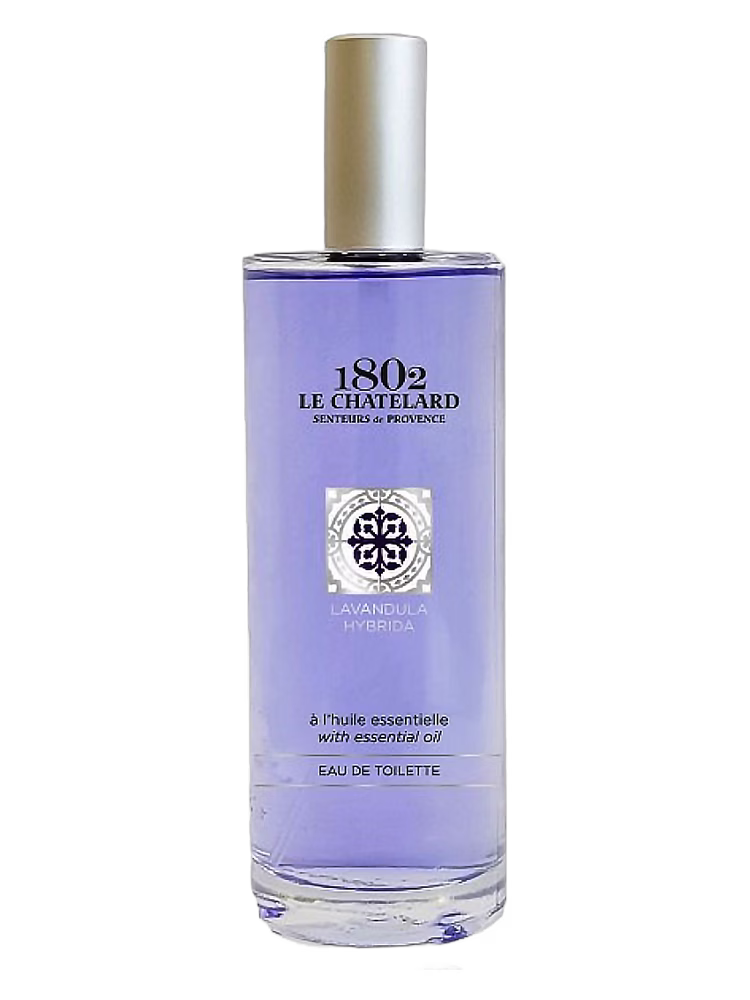 Le Chatelard 1802 Lavandula Hybrida