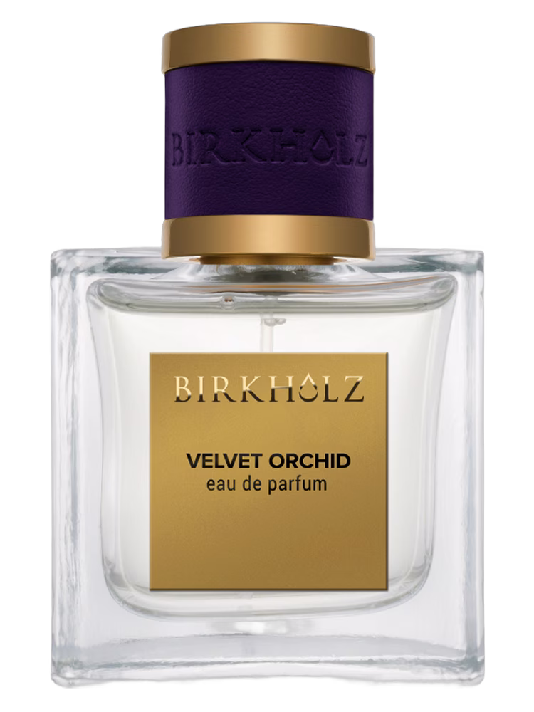 Birkholz Velvet Orchid