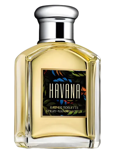 Havana Aramis cologne - a fragrance for men 1994