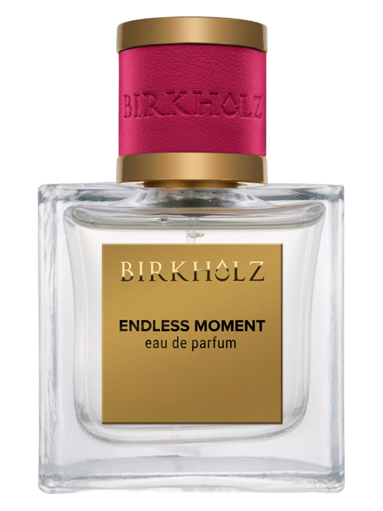 Birkholz Endless Moment