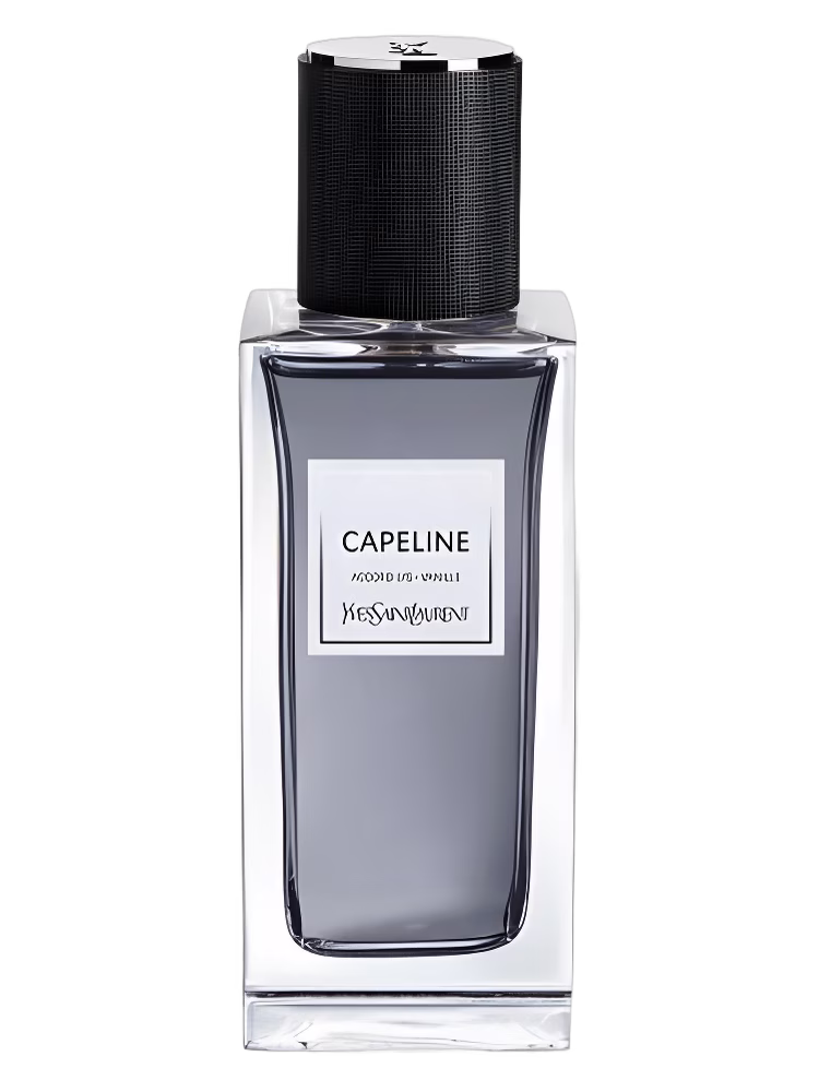 Yves Saint Laurent Capeline