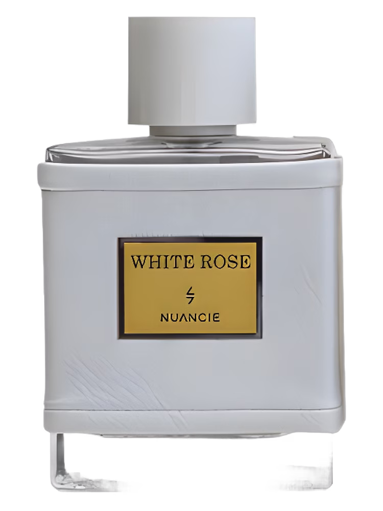 Nuancielo White Rose
