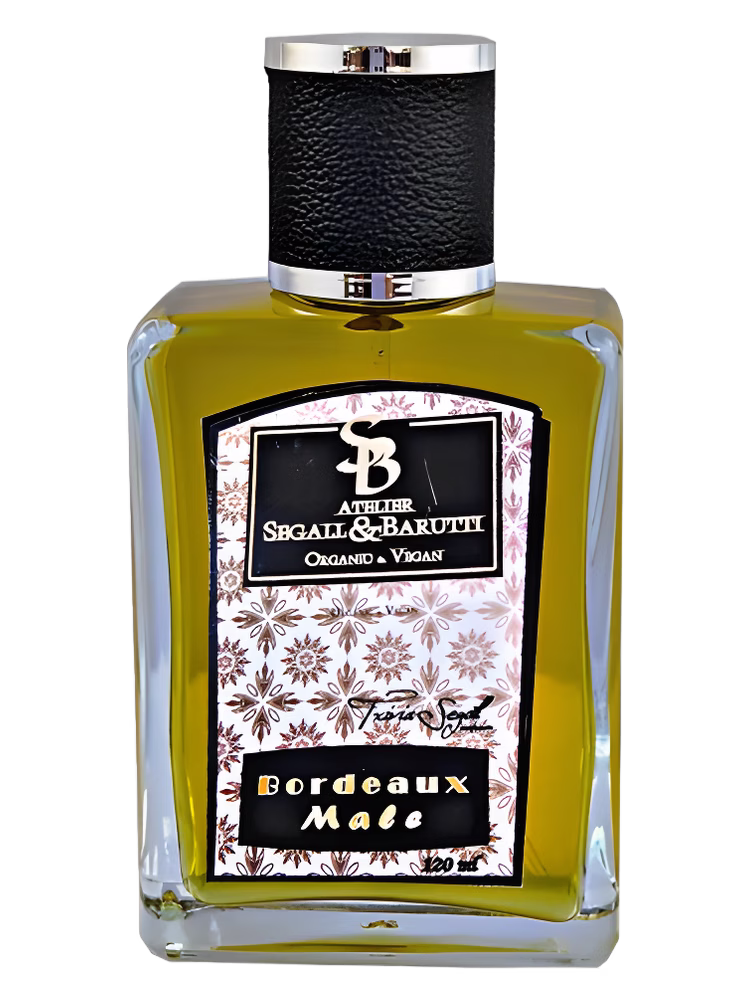 Atelier Segall &amp; Barutti Bordeaux Male