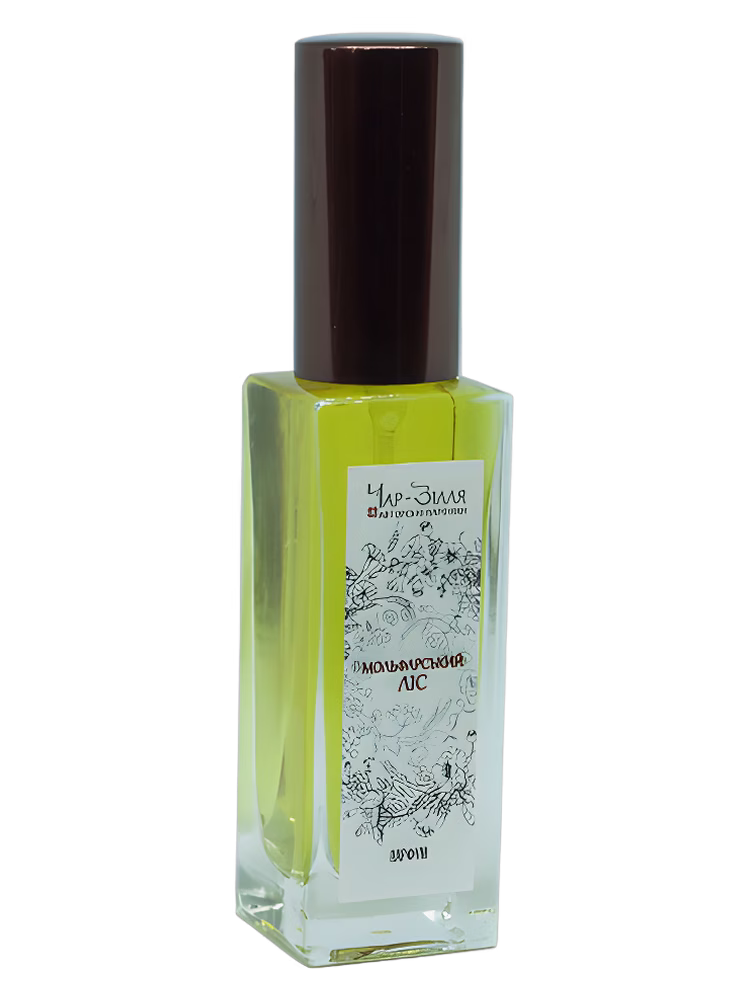 Char-Zillya Molfar Forest / Мольфарський Ліс