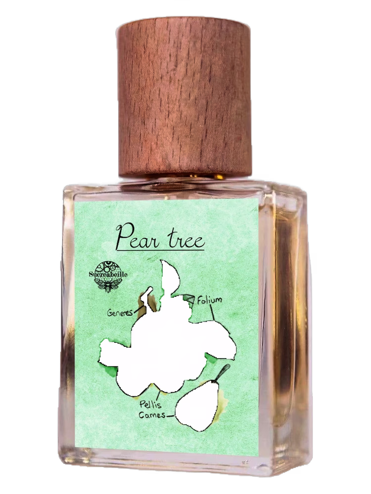 Sucreabeille Pear Tree