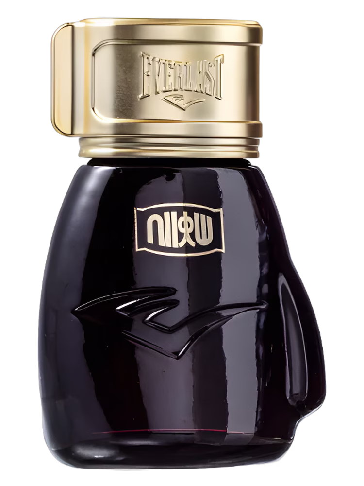 Everlast Choice Of Champions Street Fighter Metro City