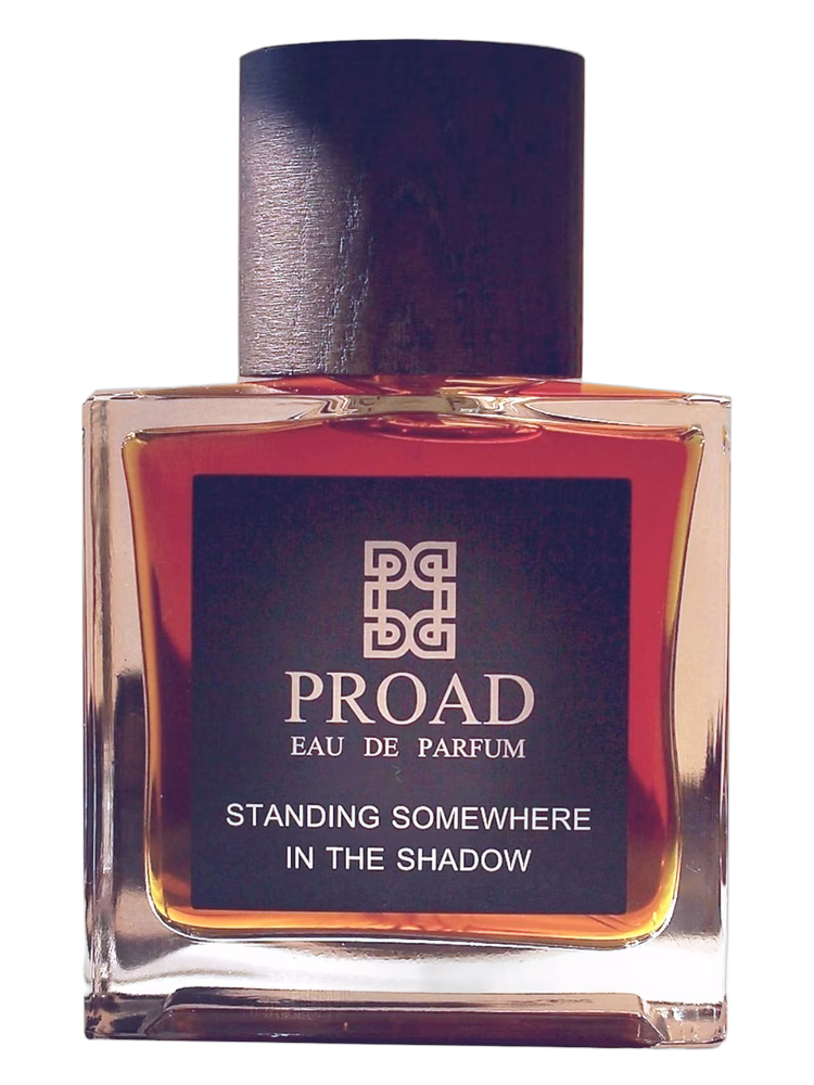 Proad Standing Somewhere In The Shadow