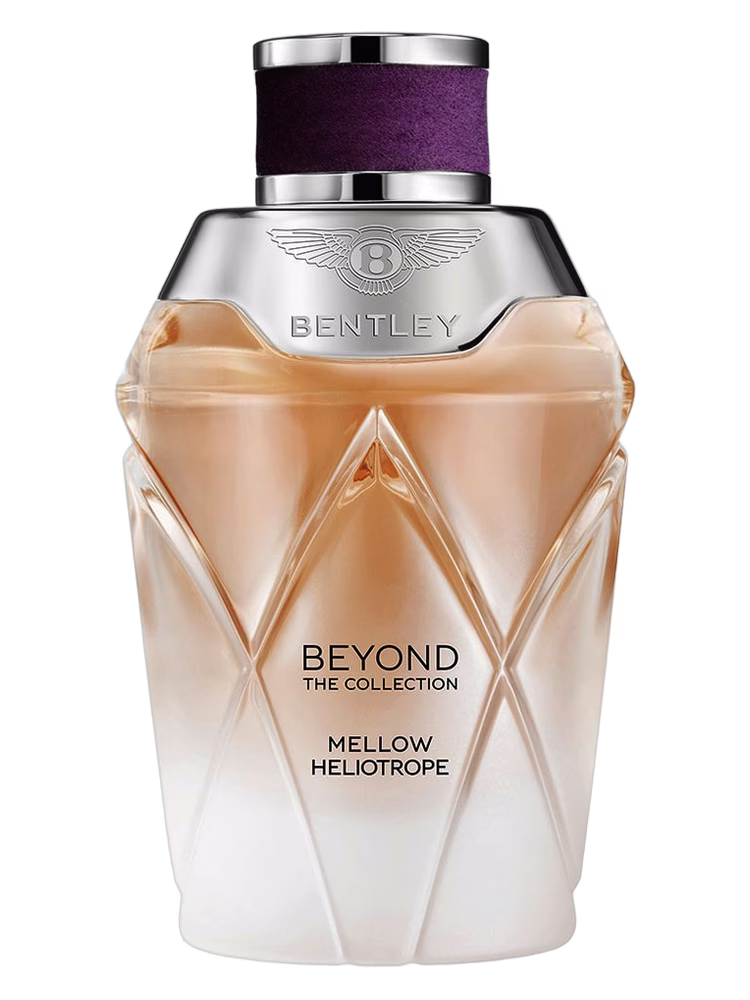 Bentley Mellow Heliotrope