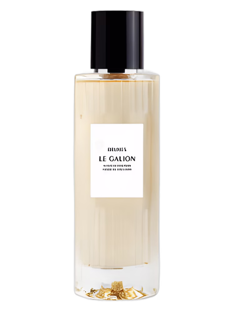 Le Galion Brumes (2020)