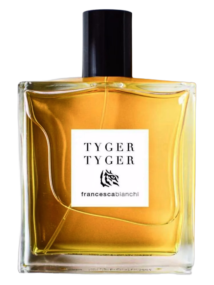Francesca Bianchi Tyger Tyger