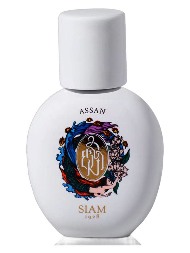 SIAM 1928 Assan