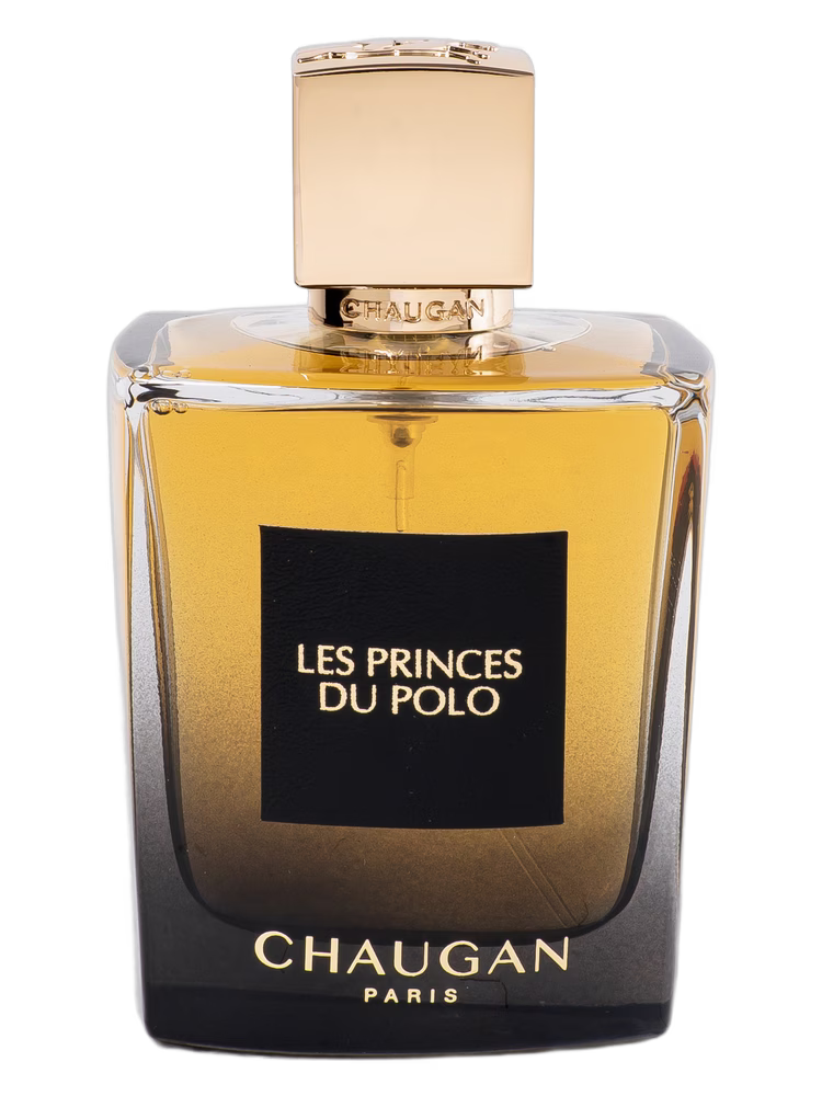 Chaugan Les Princes Du Polo