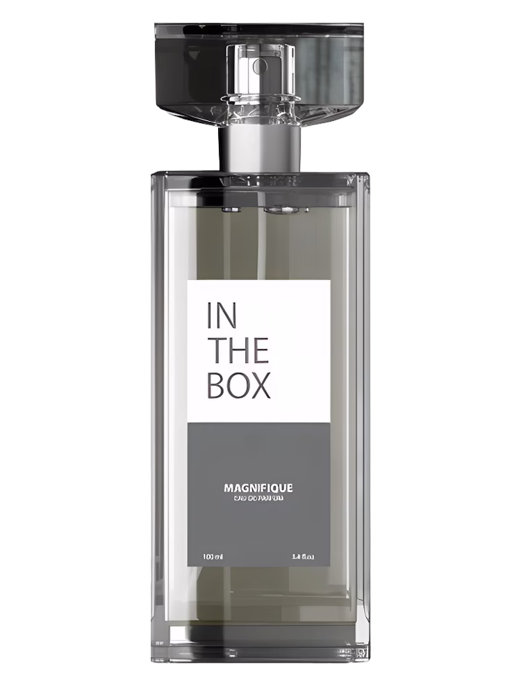 In The Box Magnifique