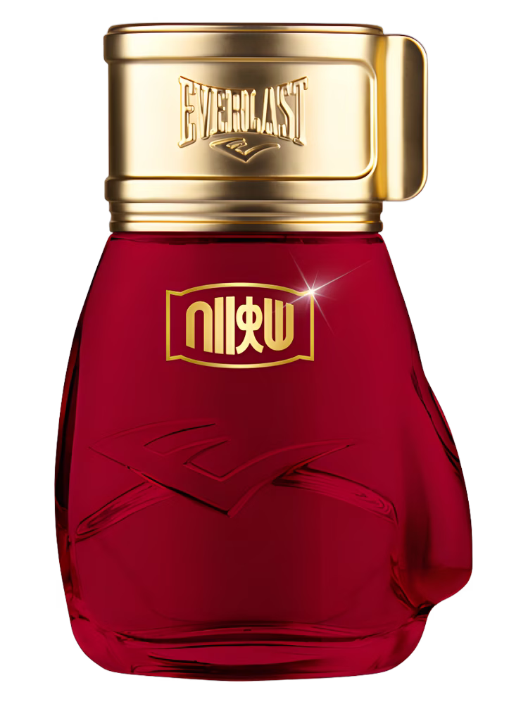 Everlast Choice Of Champions Street Fighter Hadouken