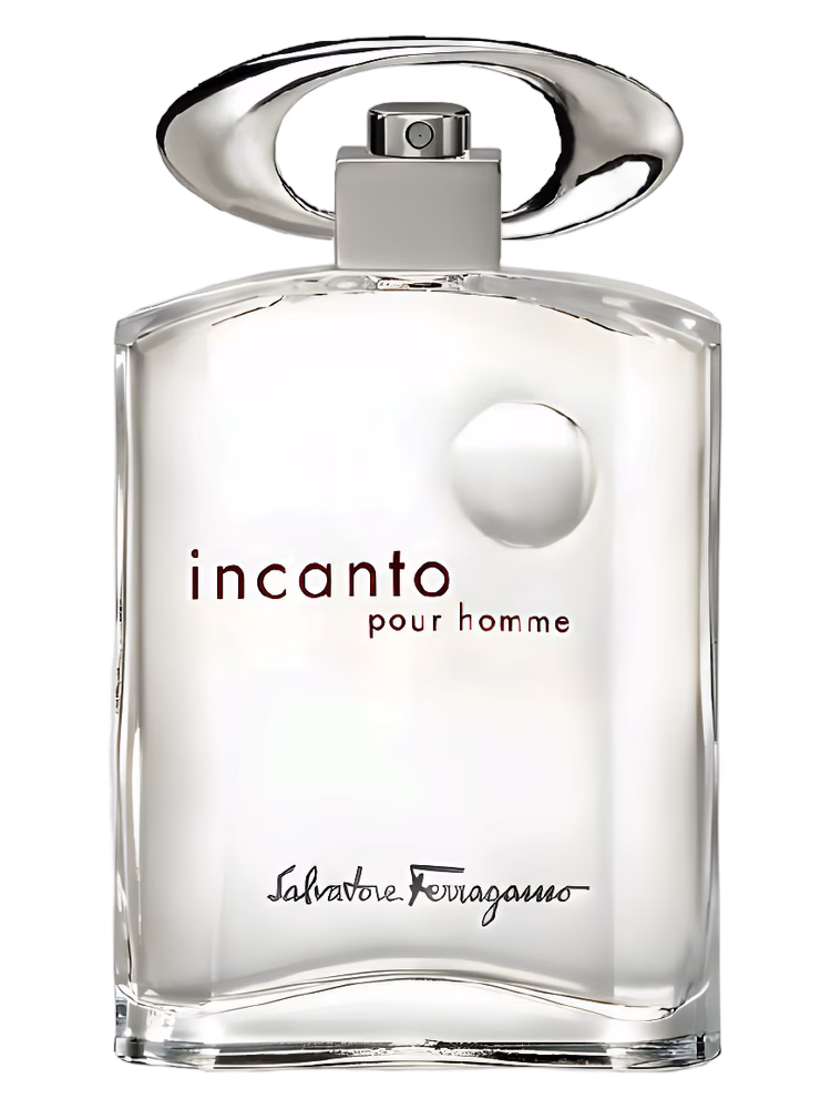 Salvatore Ferragamo Incanto Pour Homme