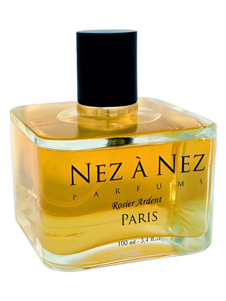 Nez a Nez Rosier Ardent