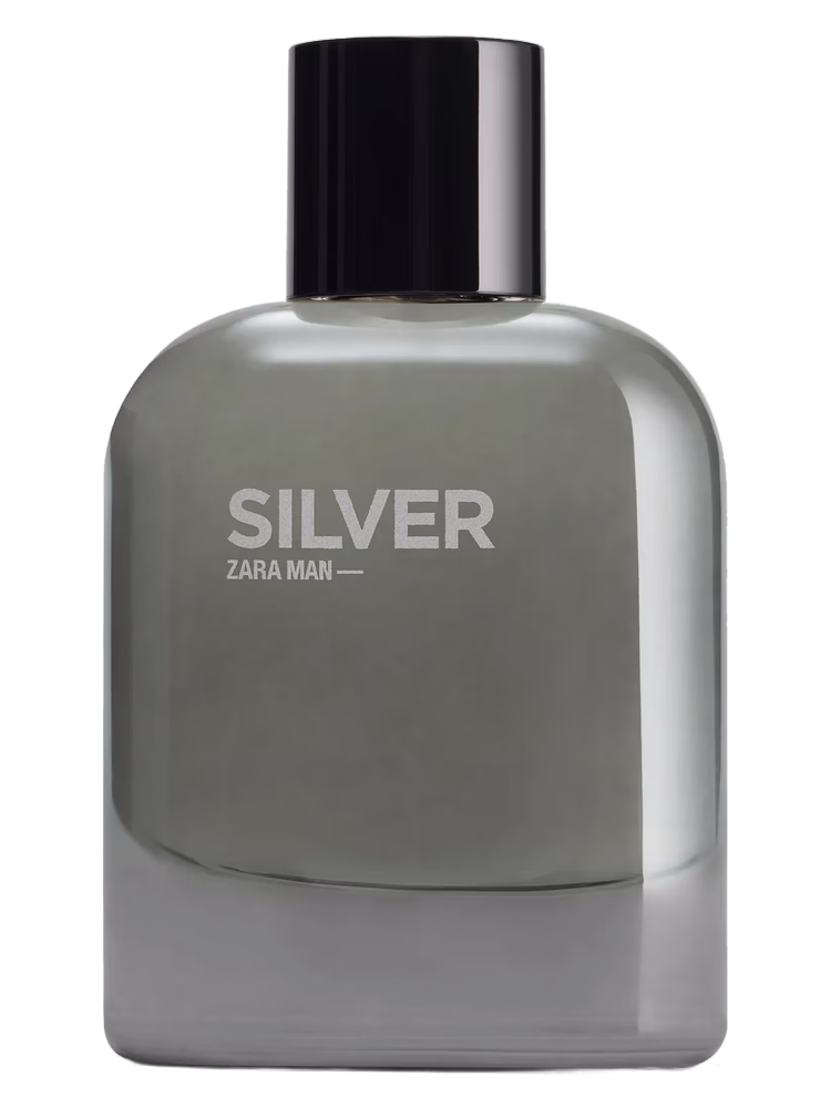 Zara Silver