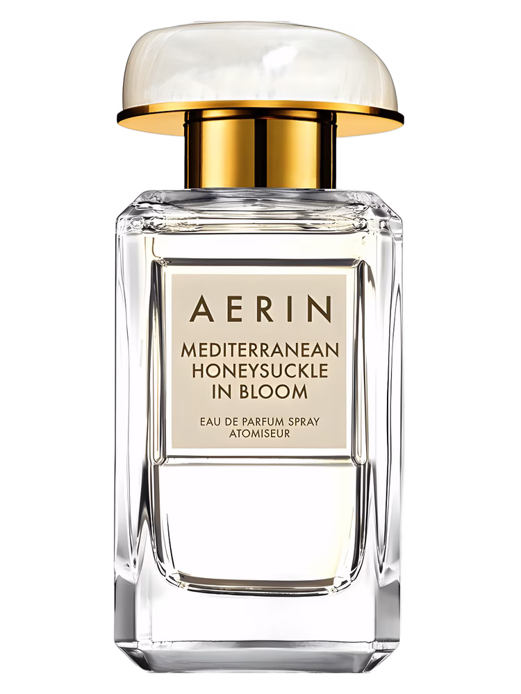 Aerin Mediterranean Honeysuckle In Bloom