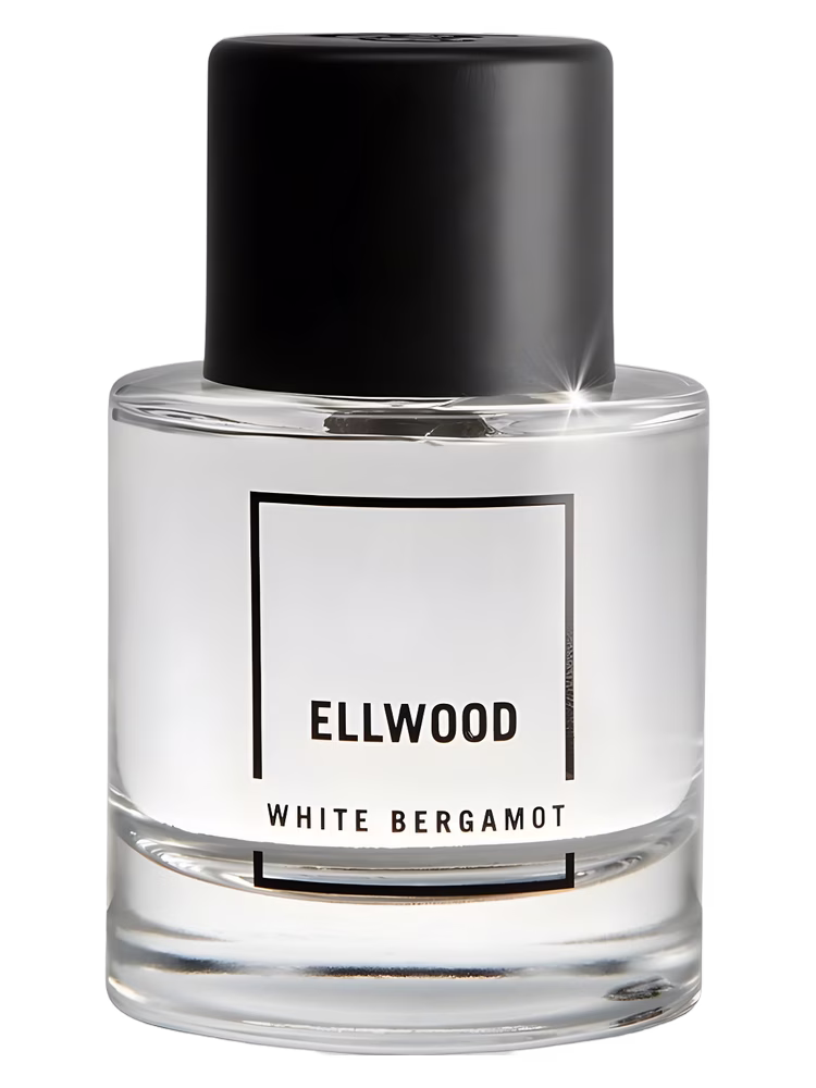 Abercrombie & Fitch Ellwood White Bergamot
