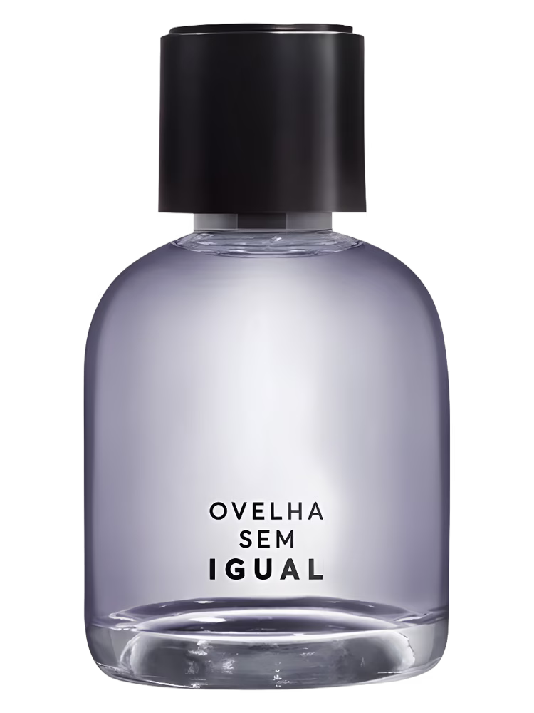 Quem Disse Berenice Ovelha Sem Igual