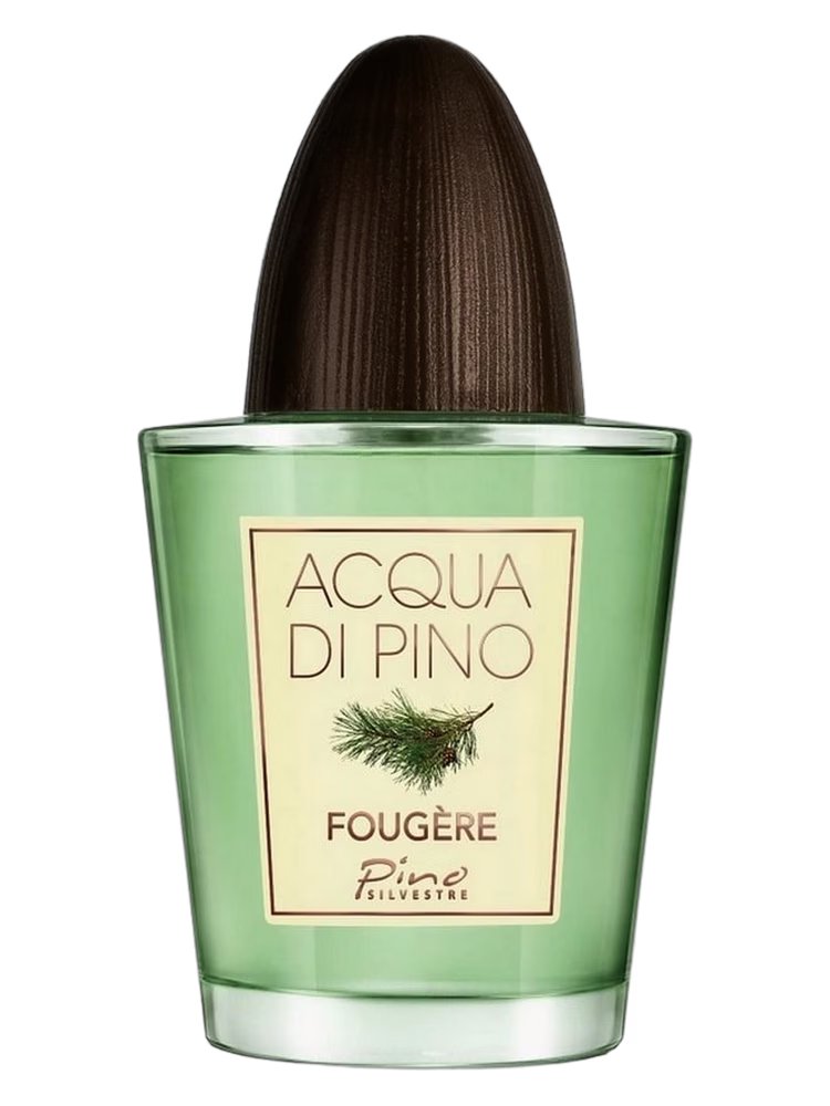 Pino Silvestre Acqua di Pino Fougere