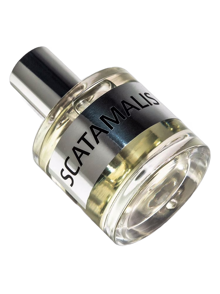 JD Jeffrey Dame JD Scatamalis Base