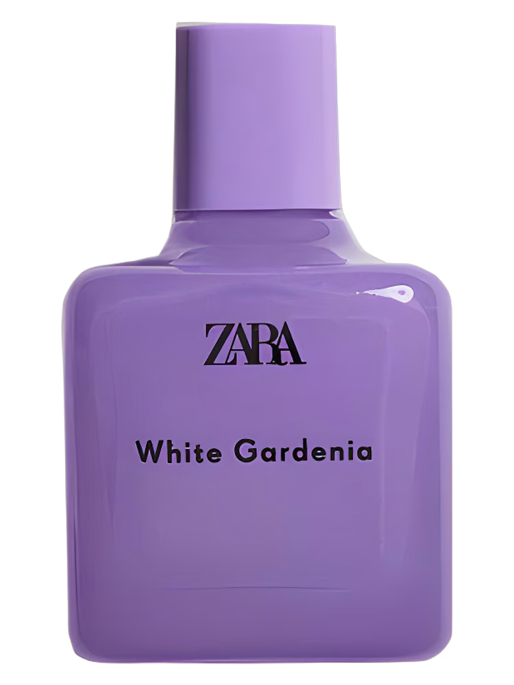 Zara White Gardenia