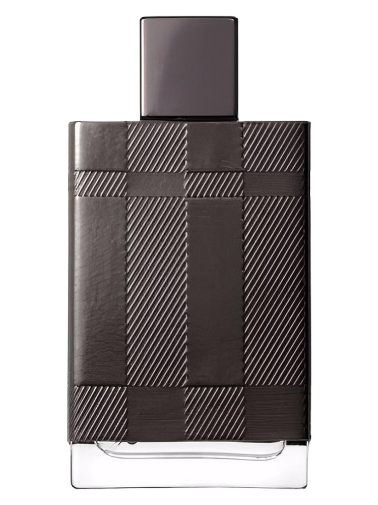 Burberry Burberry London for Men Special Edition 2009