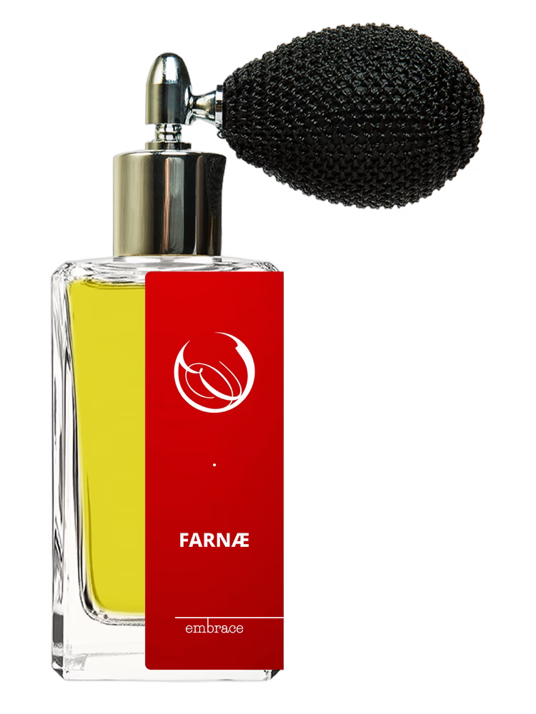Embrace Perfume Farnae