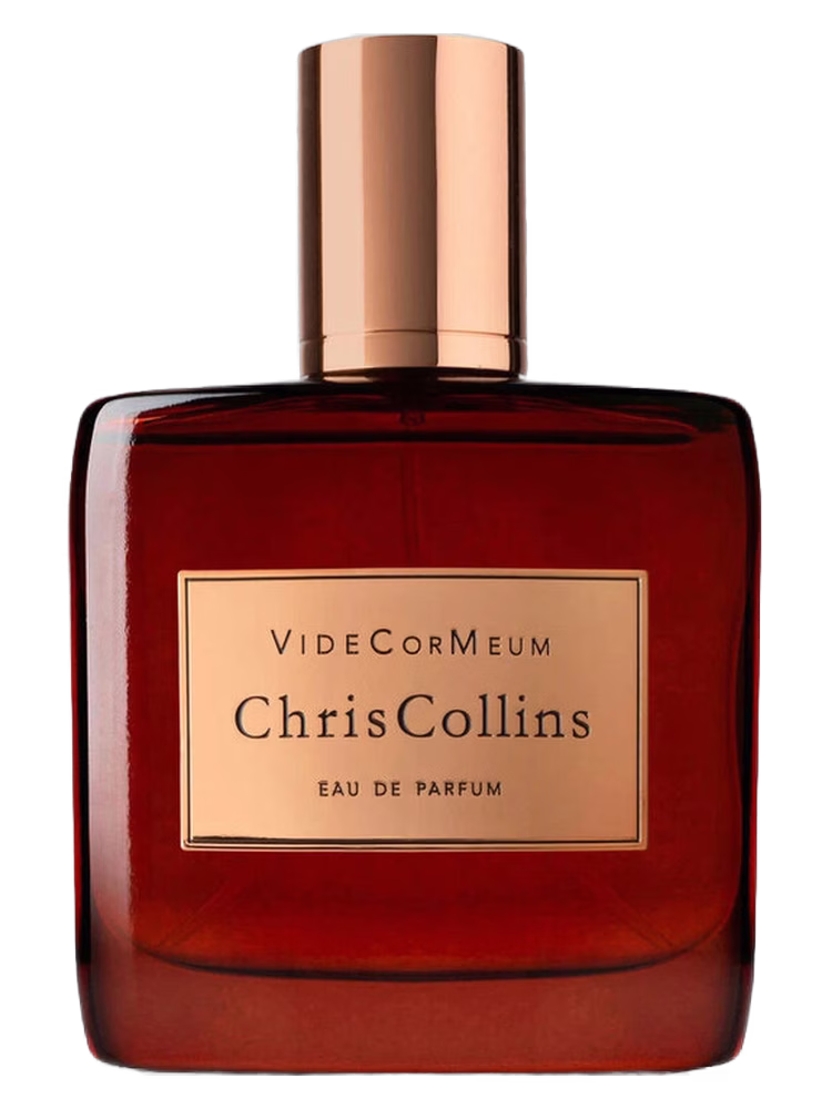 Chris Collins VideCorMeum