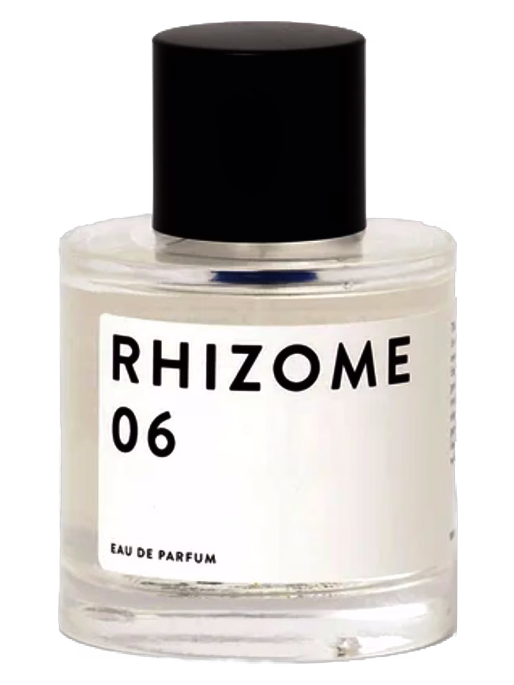 Rhizome Rhizome 06