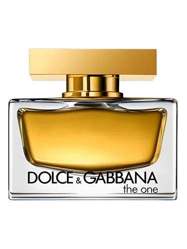 Dolce Gabbana The One