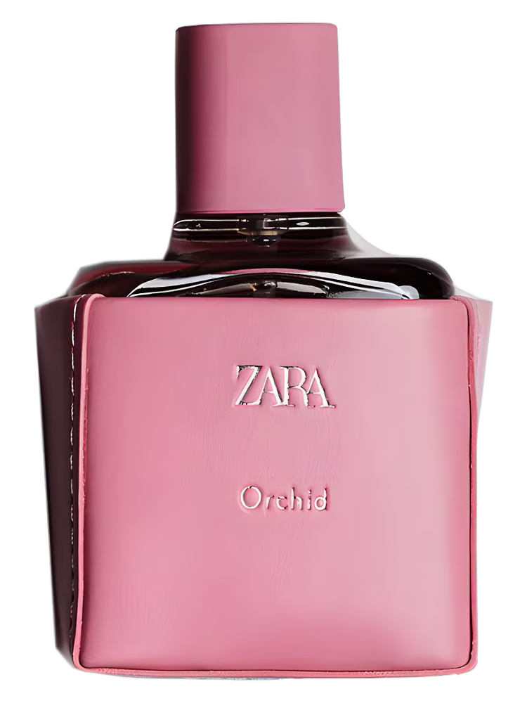 Zara Zara Orchid 2021