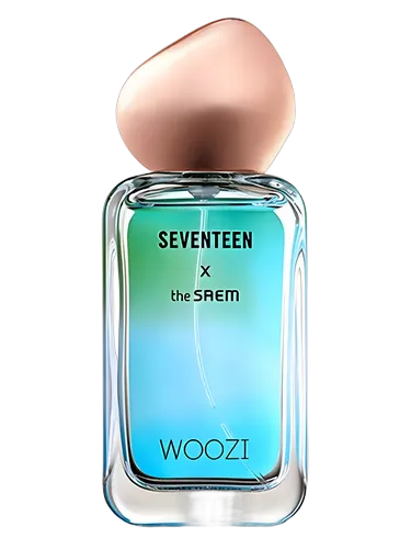seventeen セブチ　ザセム　ウォヌ　八尾　レンチ　the saem Seventeen X Woozi The SAEM perfume - a fragrance for women 2018