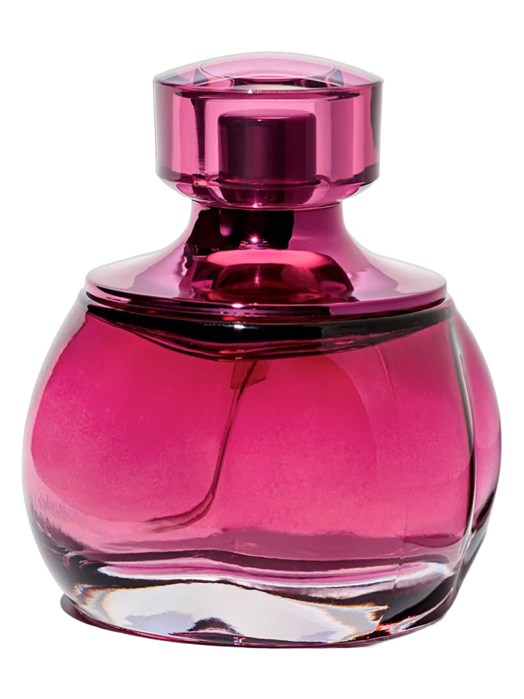 Dzintars Lilac of Riga (Рижская Сирень, 2021)