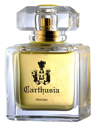 Mediterraneo Parfum Carthusia 香水- 一款1990年中性香水