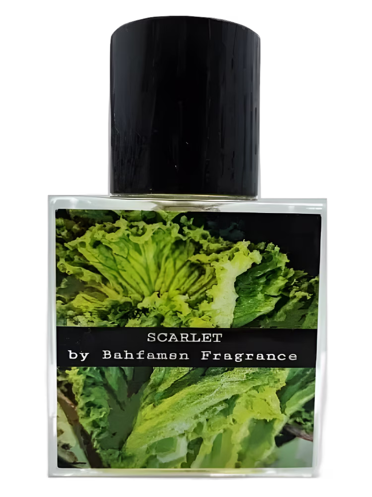 Bahfamsn Fragrance Scarlet