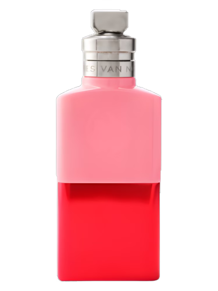 Dries Van Noten Raving Rose