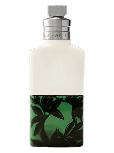 Santal Greenery Dries Van Noten perfume - a fragrance for women