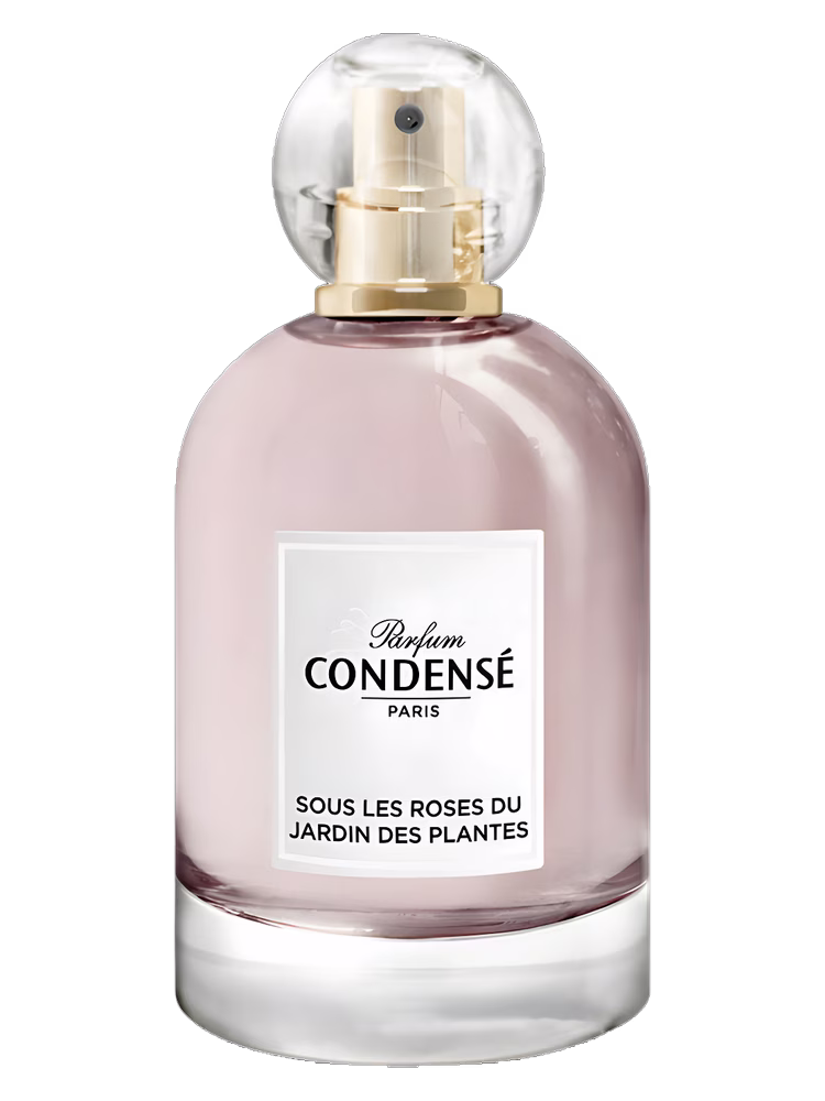 Condensé Paris Sous les Roses du Jardin des Plantes