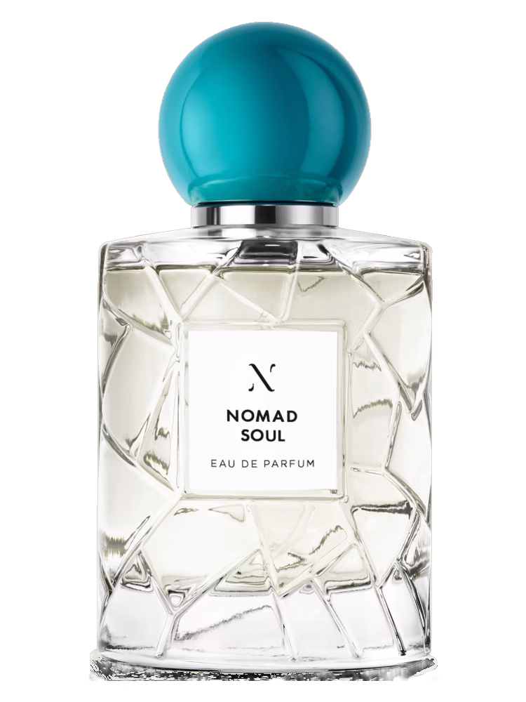 Les Soeurs de Noe Nomad Soul
