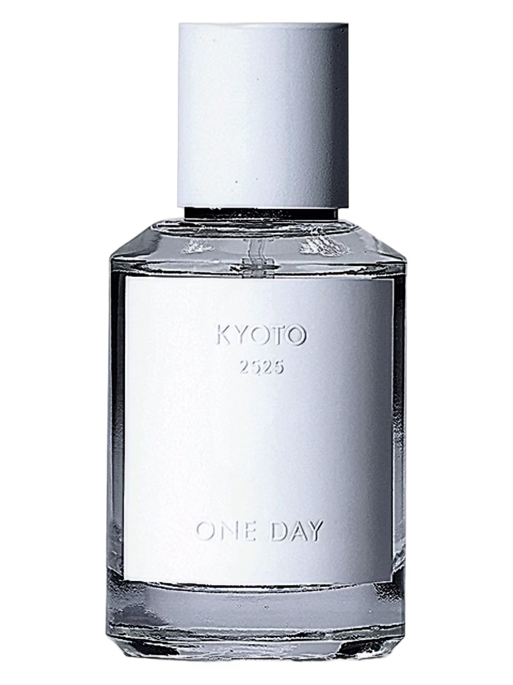 One Day Kyoto
