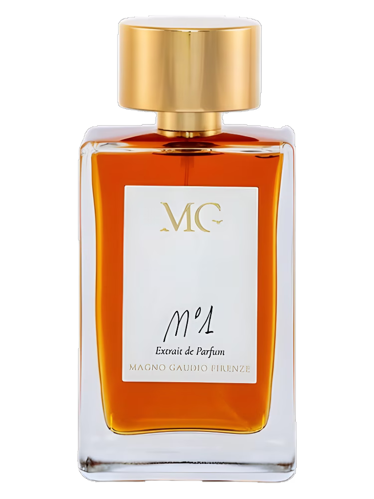 Magno Gaudio Firenze N° 1