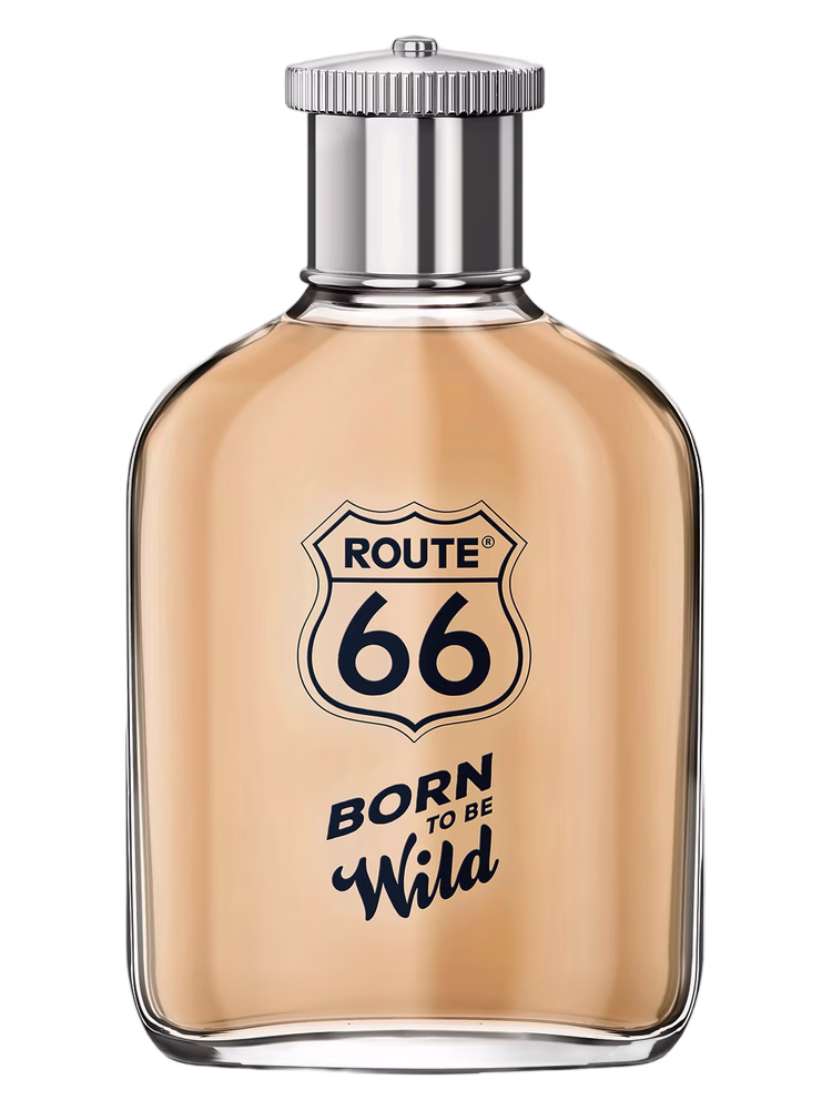 Route 66 Born To Be Wild