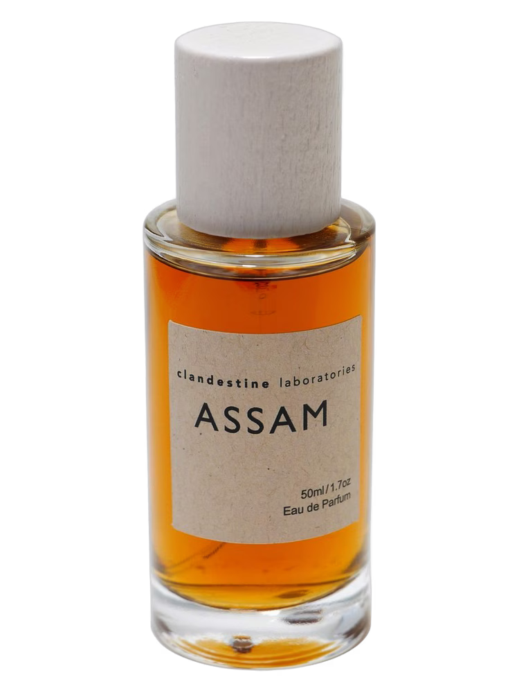 Clandestine Laboratories Assam