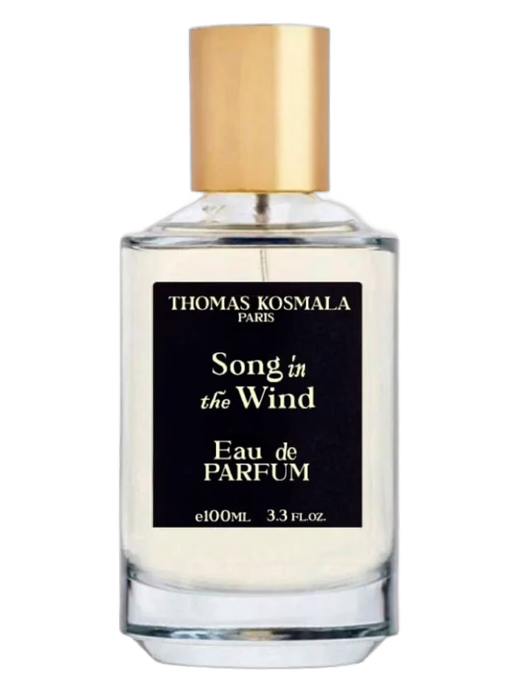 Thomas Kosmala Song In The Wind