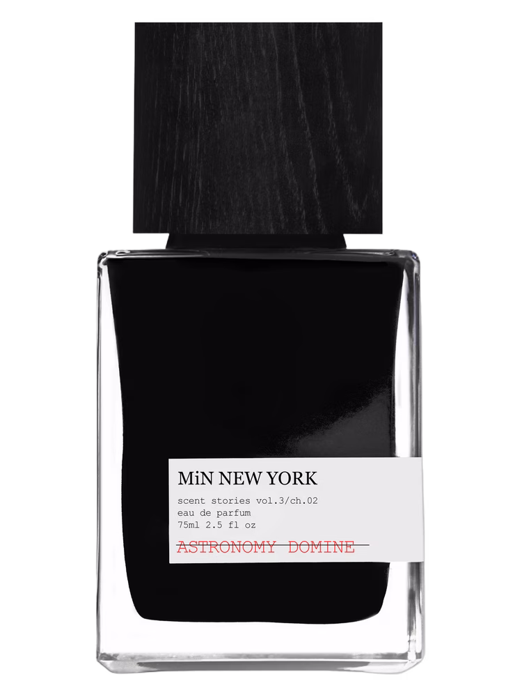 MiN NEW YORK ASTRONOMY DOMINE